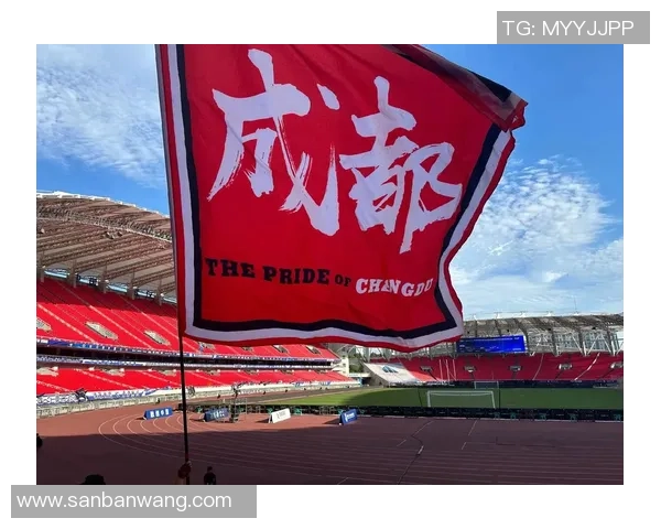 成都足球队技术争议引发热议球迷与专家各抒己见探讨未来发展方向